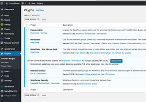 Plugins - Lucky Eleven Web Design