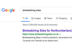 Google - Birdwatching Sites