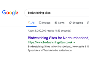 Google - Birdwatching Sites