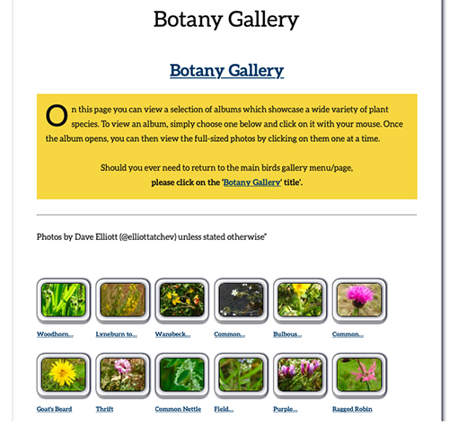 Natural Newbiggin Butterfly Gallery web page image